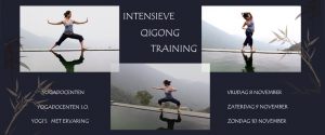 Intensieve Qigong Training - Mimi Kuo Deemer - Banner Yvonne Alefs